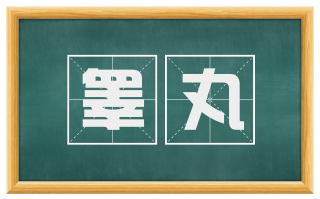 睾丸