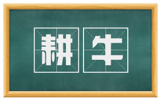 耕牛