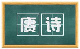 赓诗