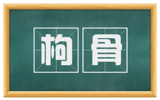 枸骨