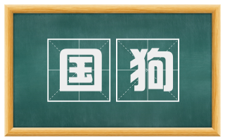 国狗