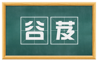 谷芨