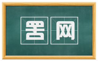 罟网