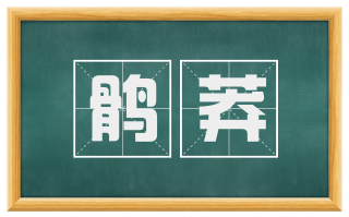 鹘莽