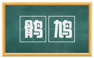 鹘鸠