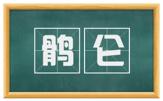 鹘仑