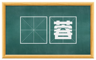 蓇蓉