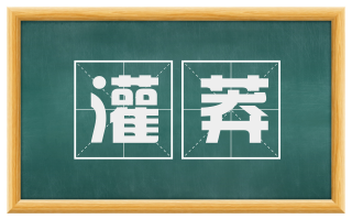 灌莽