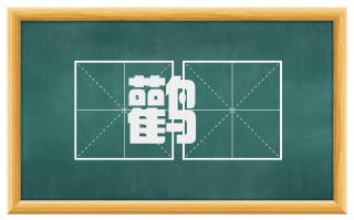 鹳鷒