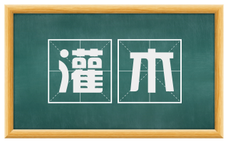 灌木