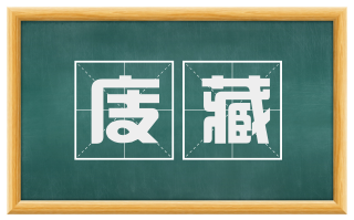 庋藏