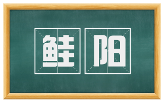 鲑阳