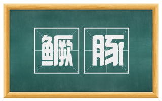 鳜豚