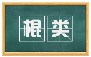 棍类