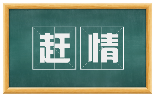 赶情