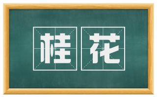 桂花