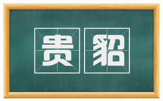 贵貂