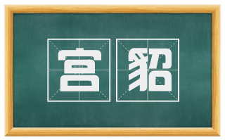 宫貂
