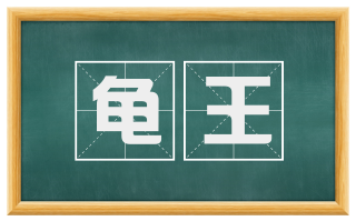 龟王