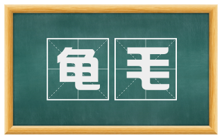 龟毛