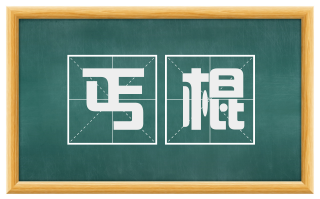 丐棍