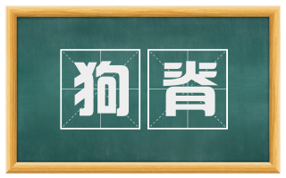 狗脊