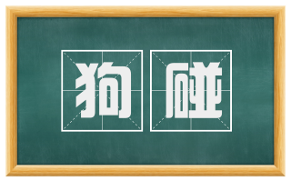 狗碰