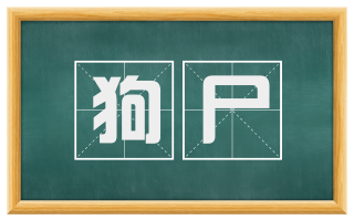 狗尸