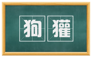 狗獾