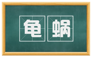 龟蜗