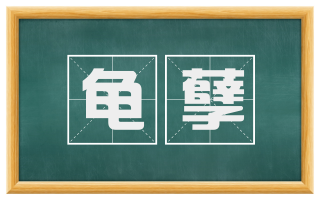 龟孽