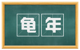 龟年