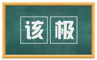 该极