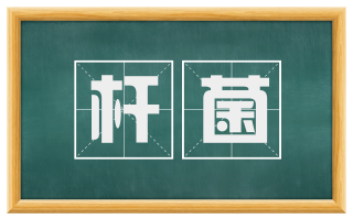 杆菌