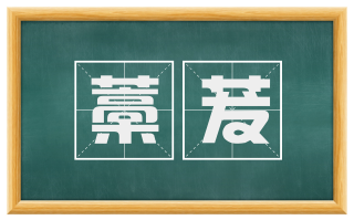 藁茇