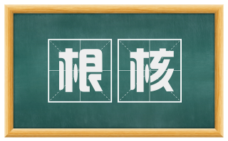 根核