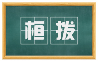 桓拨