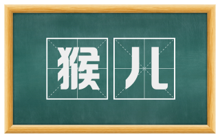 猴儿