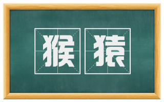 猴猿