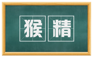 猴精