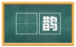 龢鹊