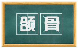 颌骨