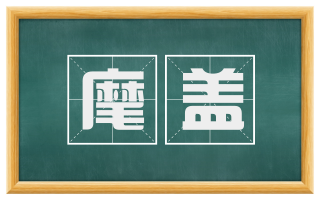 麾盖
