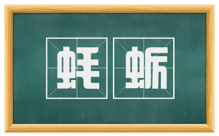 蚝蛎