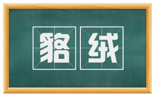 貉绒