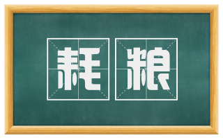 耗粮