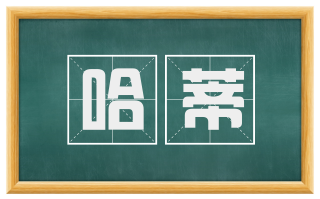 哈蒂
