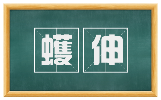 蠖伸