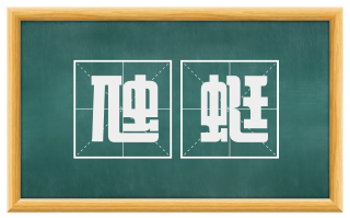 虺蜓
