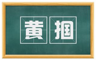 黄掴
